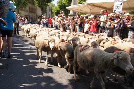 saint-remy-de-provence