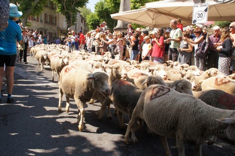 saint-remy-de-provence