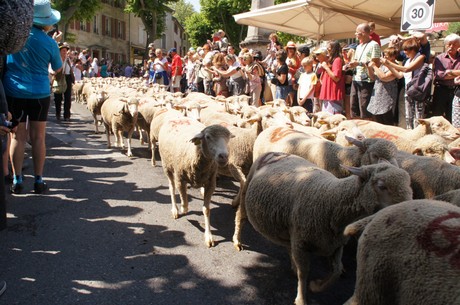 saint-remy-de-provence
