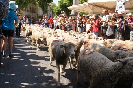 saint-remy-de-provence