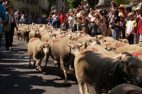 saint-remy-de-provence