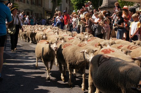 saint-remy-de-provence