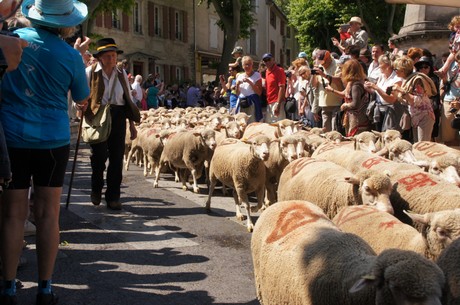 saint-remy-de-provence