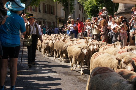 saint-remy-de-provence