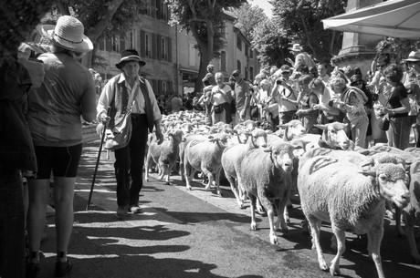 saint-remy-de-provence