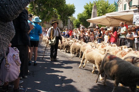 saint-remy-de-provence