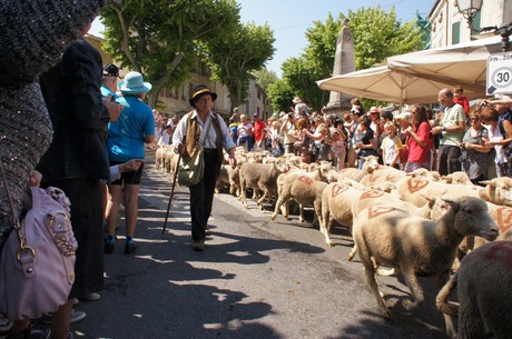 saint-remy-de-provence