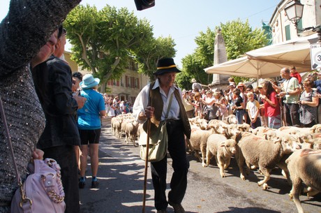 saint-remy-de-provence