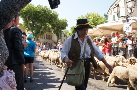 saint-remy-de-provence