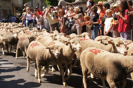saint-remy-de-provence