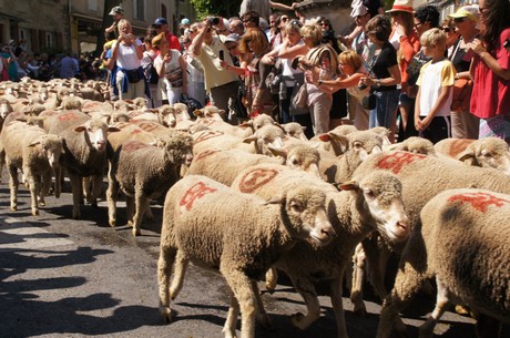 saint-remy-de-provence
