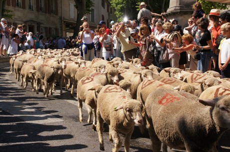 saint-remy-de-provence