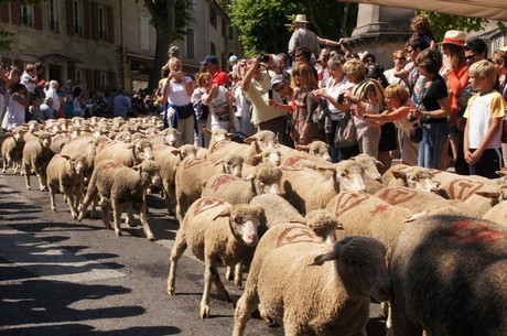 saint-remy-de-provence