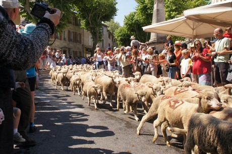 saint-remy-de-provence