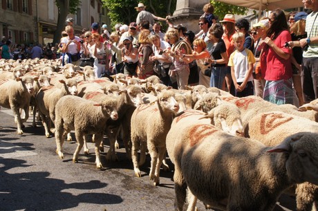 saint-remy-de-provence