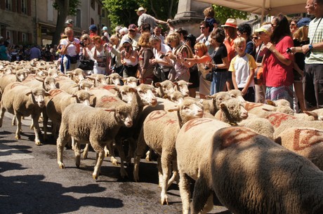 saint-remy-de-provence