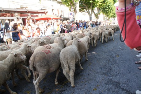 saint-remy-de-provence