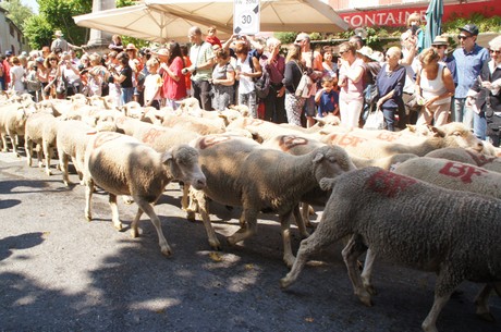 saint-remy-de-provence