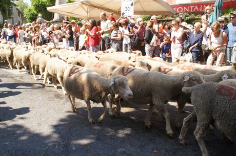 saint-remy-de-provence