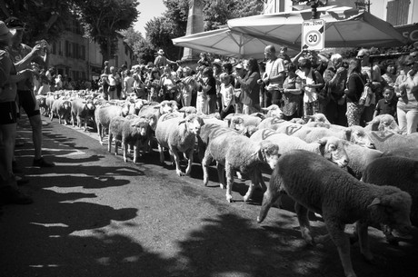 saint-remy-de-provence