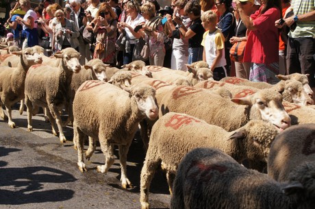 saint-remy-de-provence