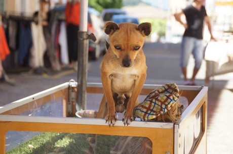 saint-saturnin-les-Apt