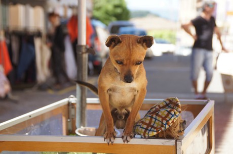 saint-saturnin-les-Apt