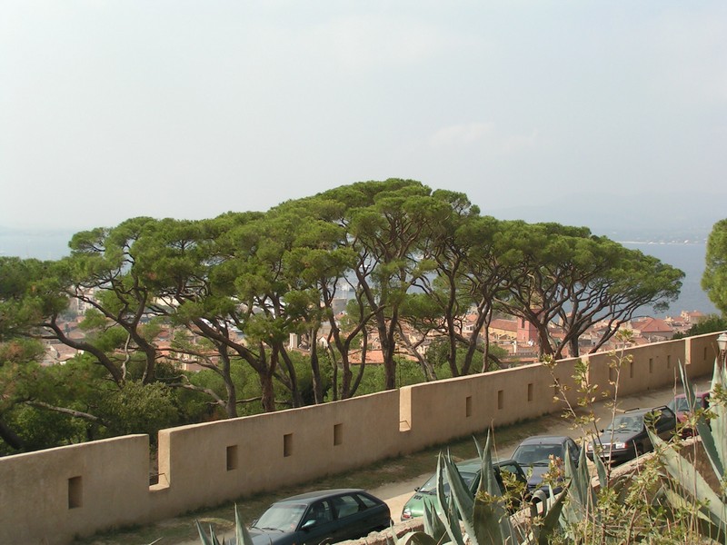 saint-tropez-citadelle