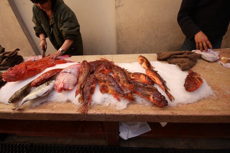 saint-tropez-fischmarkt