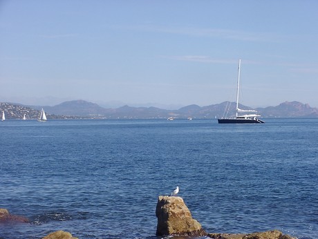 saint-tropez-hafen