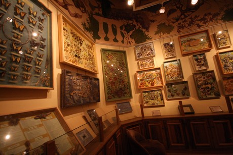 la-maison-des-papillons