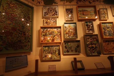 la-maison-des-papillons