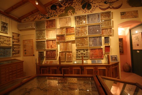 la-maison-des-papillons