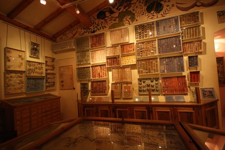 la-maison-des-papillons