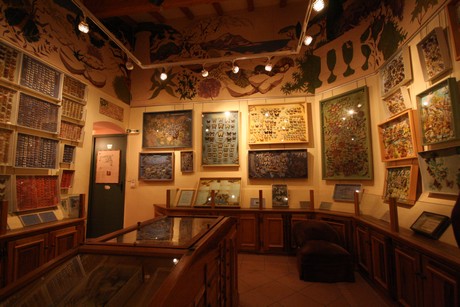 la-maison-des-papillons