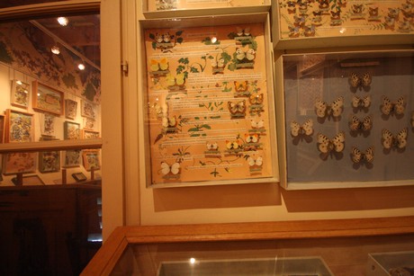 la-maison-des-papillons