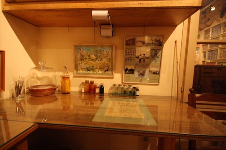 la-maison-des-papillons