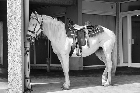 sainte-marie-la-mer-strand