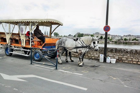 saumur