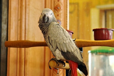 sigean-bar-la-rotonde