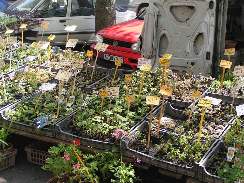tours-blumenmarkt