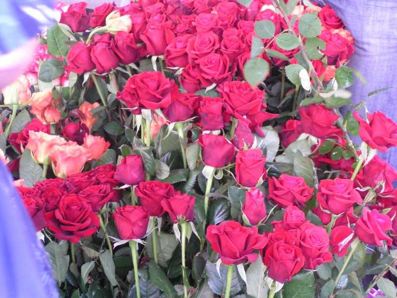 tours-blumenmarkt