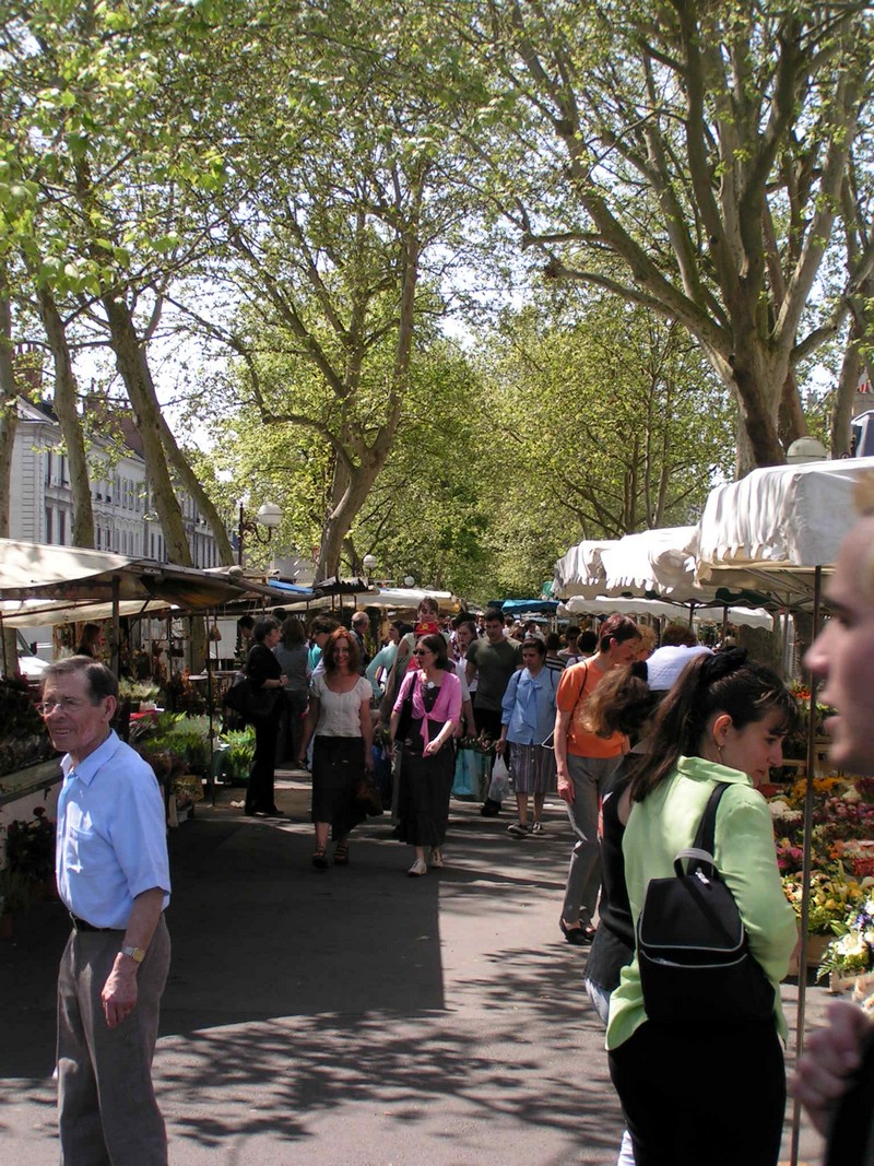 tours-blumenmarkt