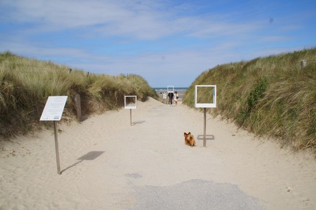 utah-beach