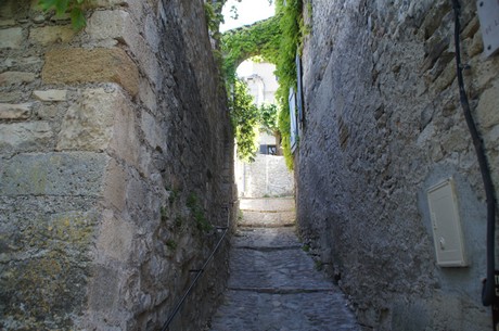 Vaison-la-Romaine