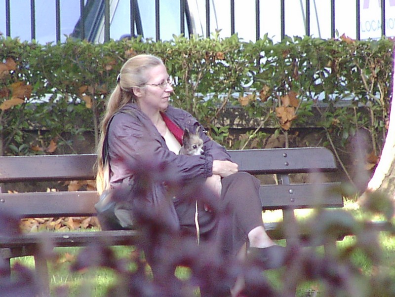 vienne-jardin-du-8-mai-1945