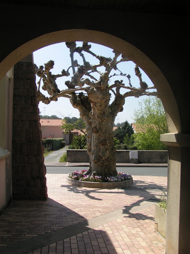 vieux-boucau-les-bains-kirche