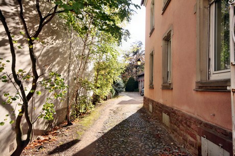 wintzenheim